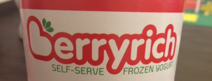 Berryrich Frozen Yogurt is one of Boston.