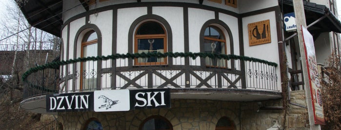 Dzvin-Ski Яремче is one of Anastasiya : понравившиеся места.