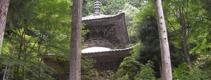 Onsen-ji temple is one of 多宝塔 / Two Storied Pagoda in Japan.