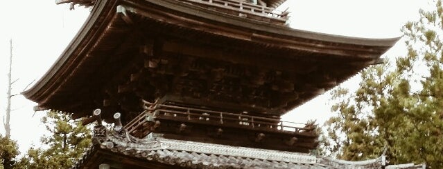 千光寺 is one of 三重塔 / Three-storied Pagoda in Japan.