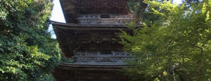 徳源院 is one of 三重塔 / Three-storied Pagoda in Japan.