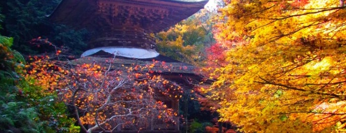 荘厳寺 is one of 多宝塔 / Two Storied Pagoda in Japan.