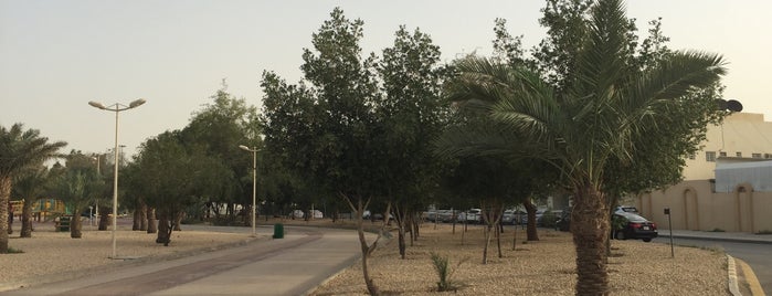 Al Nahda Road Walk is one of اماكن عامة.