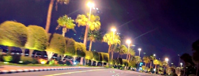 Airport Park is one of Abha.