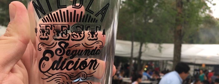 Festival de la Cerveza "Niebla Fest" is one of Recomendaciones Xalapa.