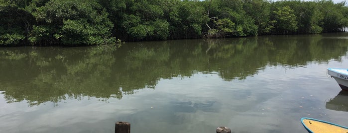 Laguna Mandinga is one of Veracruz.