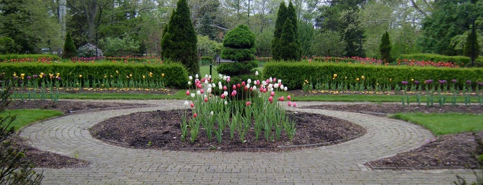 Conrad Formal Gardens is one of Miami University Traditions.