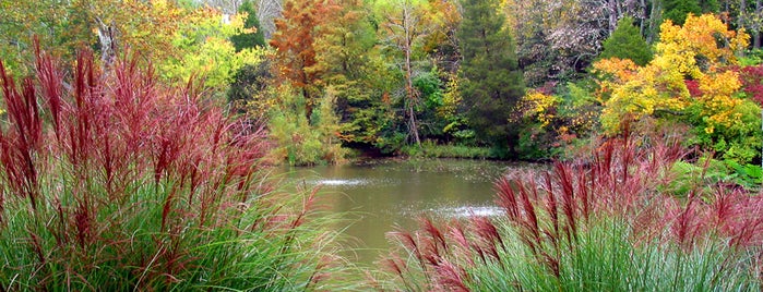 Western Pond is one of Miami University Traditions.