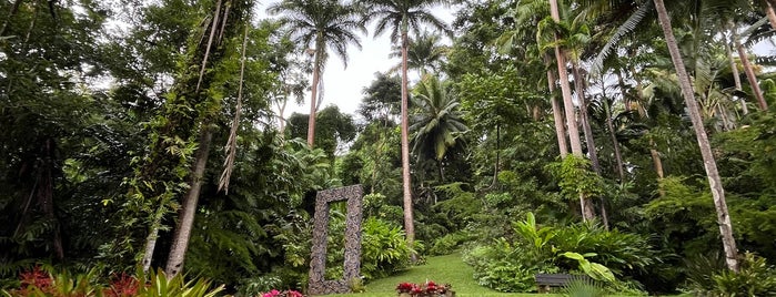 Flower Forest is one of Barbados.