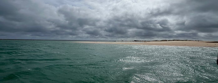 Ilha Deserta is one of Tour de Portugal.