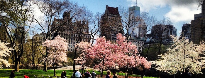 Central Park Loop is one of The 15 Best Places with Scenic Views in Central Park, New York.