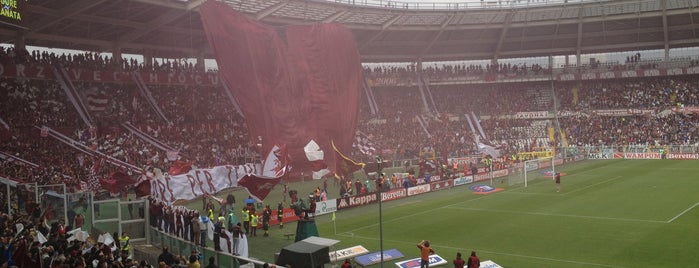 Stadio Olimpico Grande Torino is one of Torino.