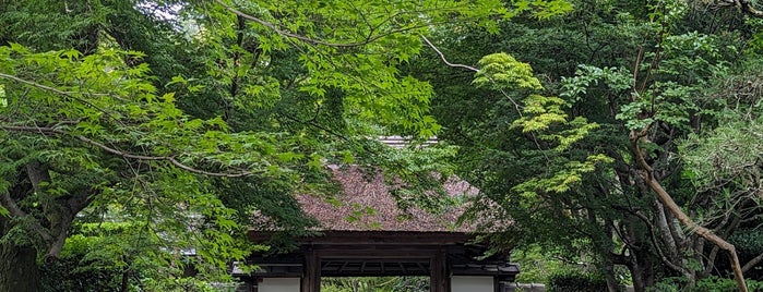 安楽寺 is one of 知られざる寺社仏閣 in 京都.