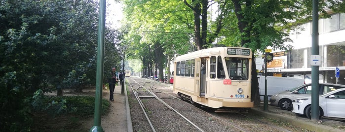 Legrand (STIB) is one of MIVB/STIB.