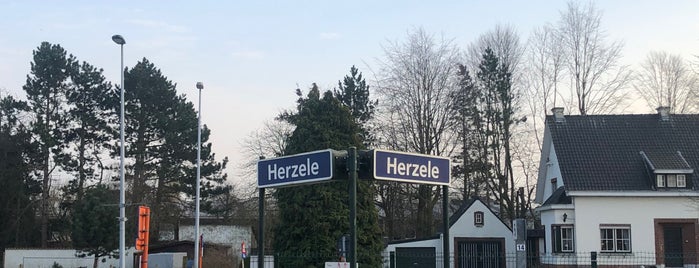 Station Herzele is one of Train.