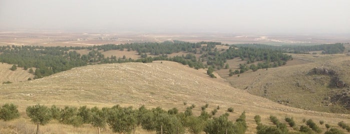 Göbeklitepe is one of Lugares favoritos de Fatih 🌞.