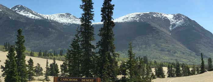 Carcross Desert is one of Christian'ın Beğendiği Mekanlar.