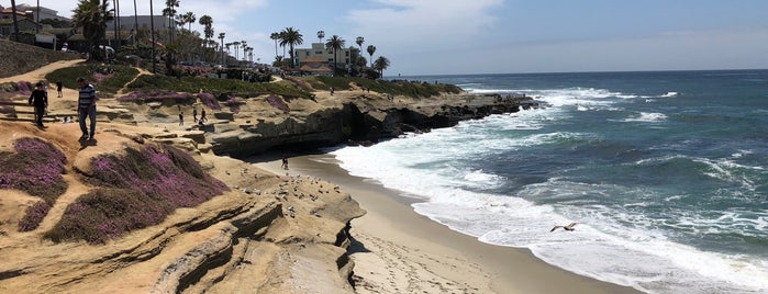 La Jolla Beach is one of San Diego, cali.