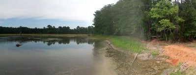 Forest Glen Camp is one of David’s Liked Places.