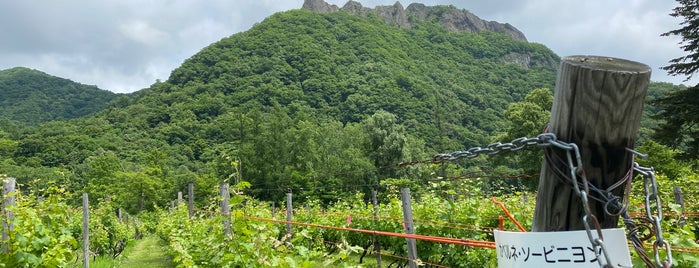 八剣山ワイナリー is one of Lieux qui ont plu à norikof.