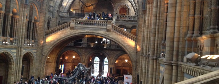 Natural History Museum is one of London-To-Do List.