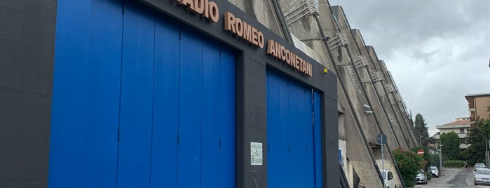 Arena Garibaldi - Stadio Romeo Anconetani is one of Pisa.