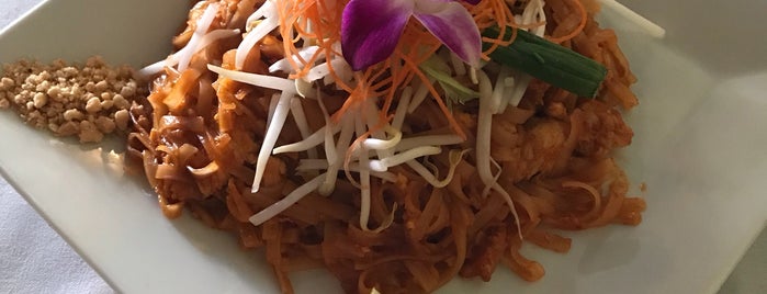 Orchid Thai Cuisine is one of Favorites.