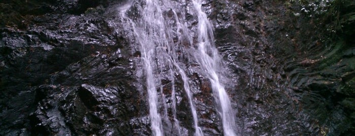 毘沙門の滝 is one of 滝.