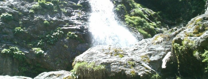 琵琶の滝 is one of 滝.