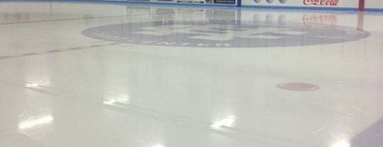 Hart Center Ice Rink is one of College Hockey Rinks.