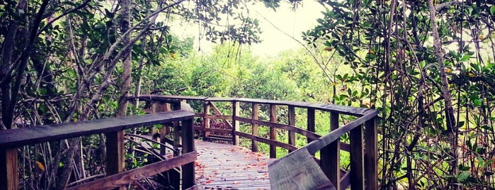 Secret Woods Nature Center is one of สถานที่ที่บันทึกไว้ของ Tori.