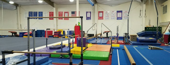 Liberty Gymnastics is one of East Bay awesome spots.