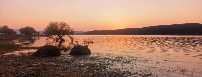 Lago Cecita is one of gibutino: сохраненные места.