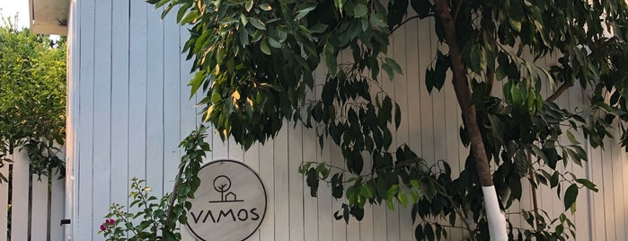 Vamos Bodrum is one of Nazım's Saved Places.