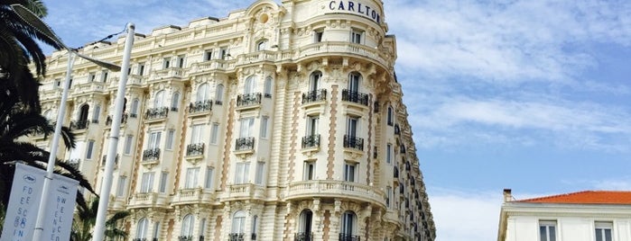 Carlton Terrasse is one of Cannes.