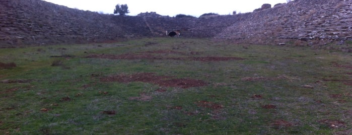 Aphrodisias Antik Kenti is one of İdil : понравившиеся места.