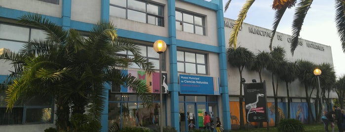 Museo Municipal de Ciencias Naturales “Lorenzo Scaglia” is one of Conocete Mar del Plata.