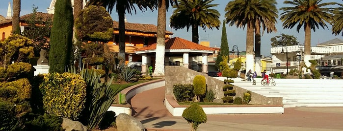 Plaza Cívica Temoaya is one of Tempat yang Disukai Damon.