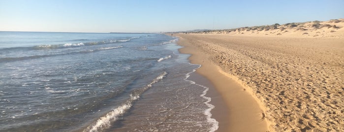 La Marina playa is one of Alvaro'nun Beğendiği Mekanlar.