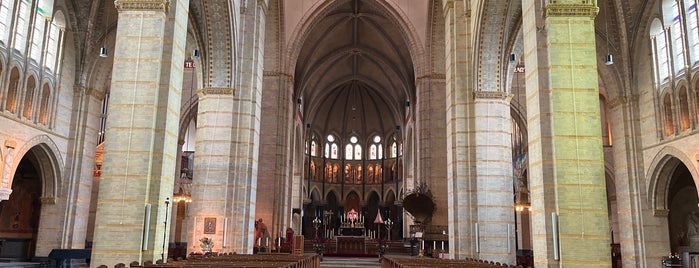 Kathedrale Basiliek Sint Bavo is one of Haarlem.