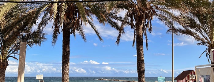 Playa de El Campello is one of สถานที่ที่ Fernando ถูกใจ.