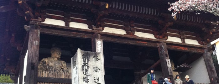 金峯山寺 仁王門 is one of was_temple.