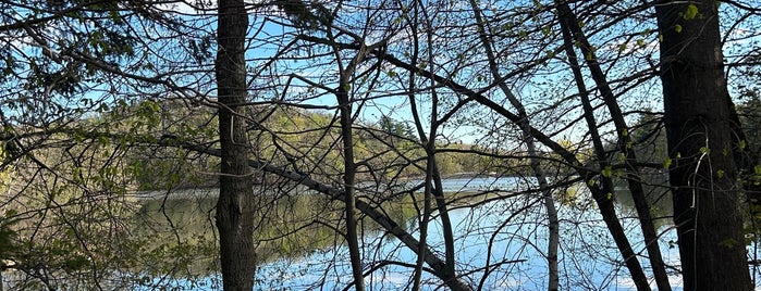 Parc national du Mont-Saint-Bruno is one of Montréal.