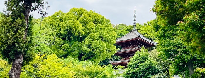 明王院 is one of 旅行で行ってみたい名所・宿.