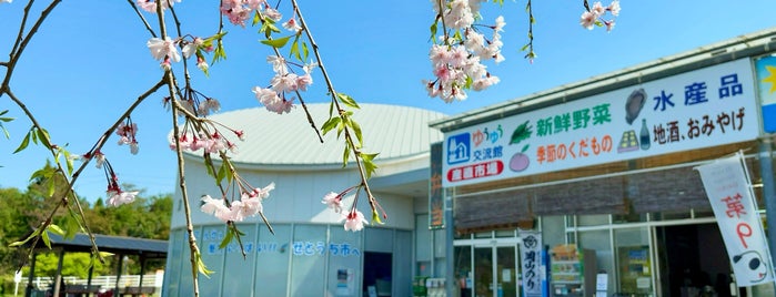 道の駅 黒井山グリーンパーク is one of 道の駅.