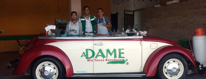 Tacos Rancheros Adame is one of Durango.