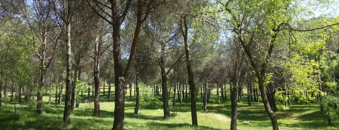 Parque de Las Presillas is one of Madrid en Parques.