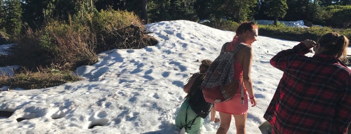 Mount Seymour is one of Posti che sono piaciuti a Stephanie.