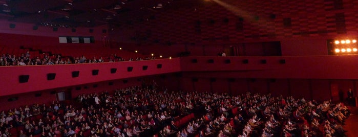 Moscow International Documentary Film Festival DOKer is one of Документальное кино.