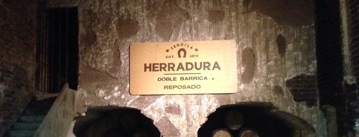 Casa Herradura is one of Mexico/Jalisco.